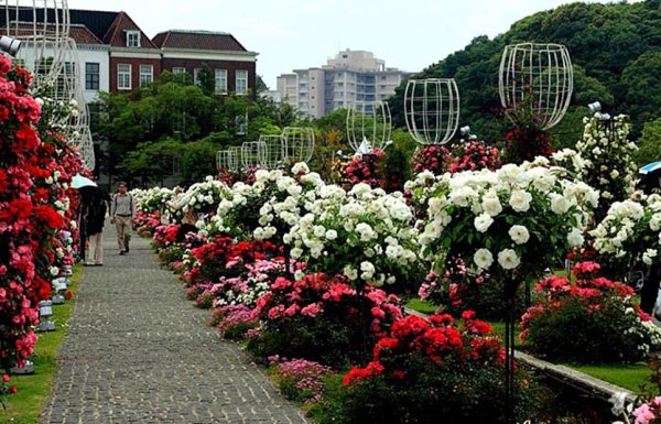 Парк Чаир Ялта