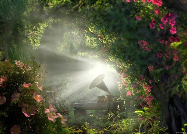 Игорь Зенин фотохудожник