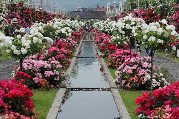 Парк Чаир Крым