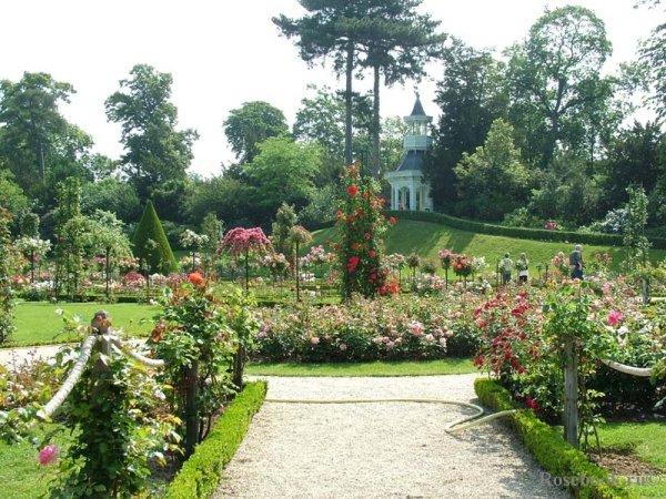 Розарий в парке Чаир