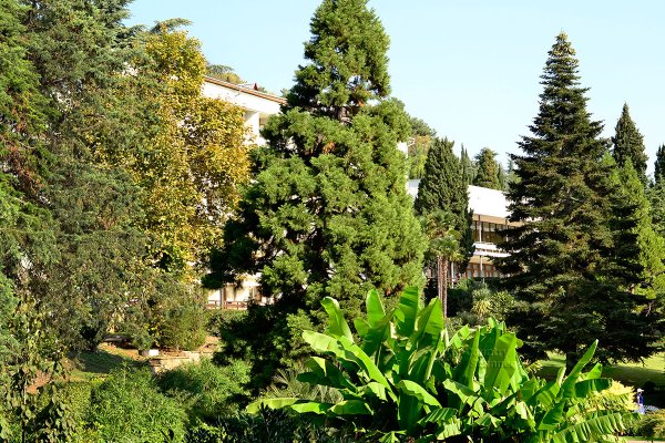 Парк Чаир Ялта