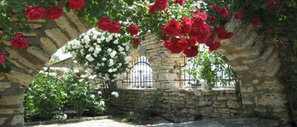 Долина роз Турция