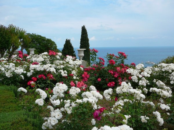 Парк Чаир Воронцовский