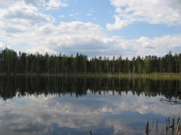 Озеро пустое Тисульский район