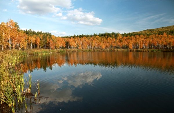 Озеро пустое Кемеровская область