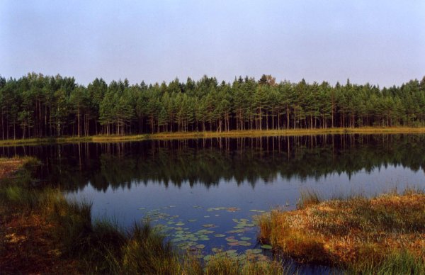 Тисуль Мертвое озеро