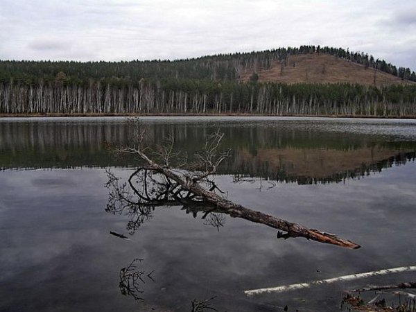 Озеро пустое Западная Сибирь