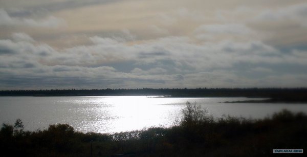 Озеро пустое Западная Сибирь