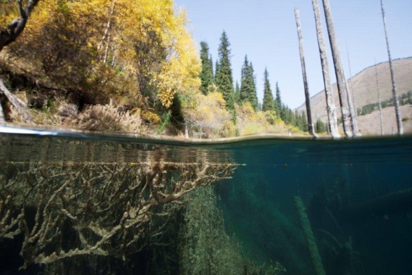 Озеро Каинды в Казахстане глубина