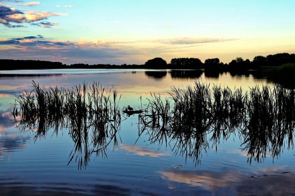 Озеро Чайка Куршская коса