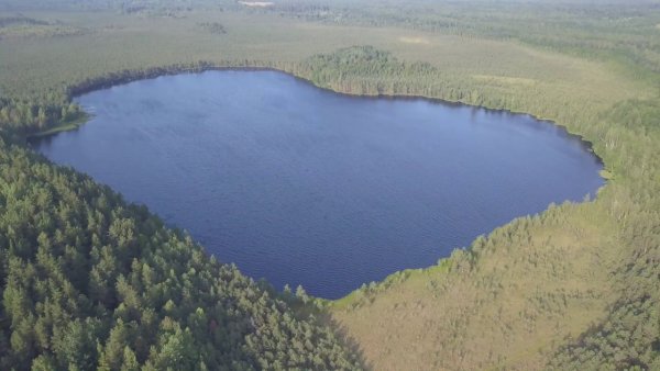 Река лжа Пыталовского района