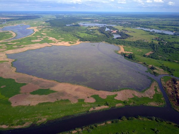 Воронье озеро Калининград