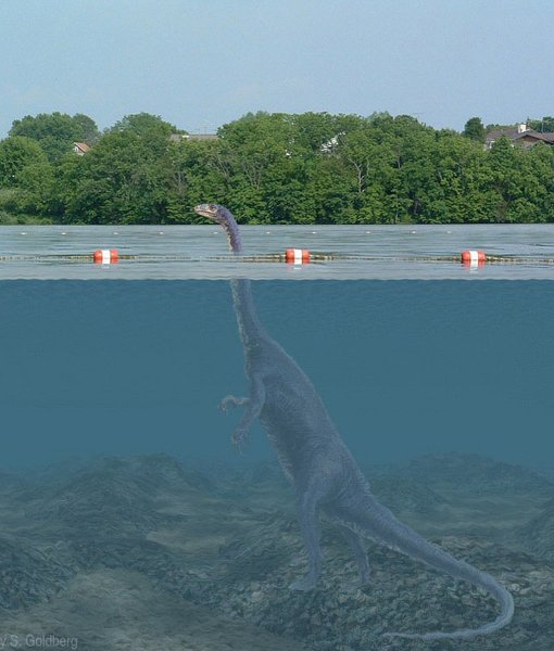 Озеро Лохнесс Несси