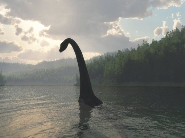 Чудовище лох-Несс Лохнесское