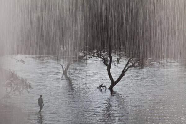 Сильный дождь