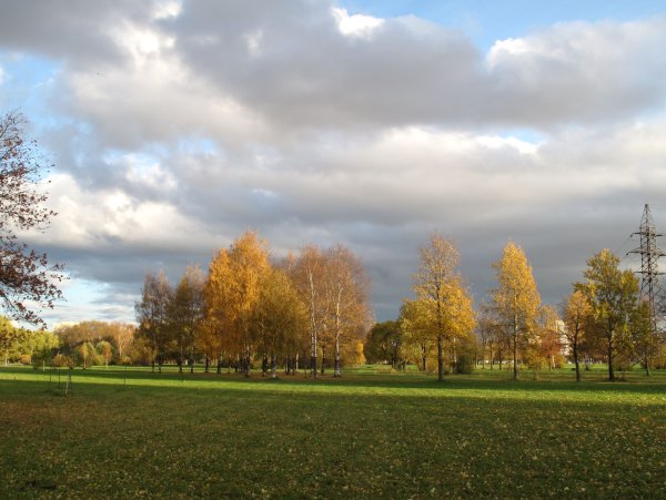 Муринский парк городки