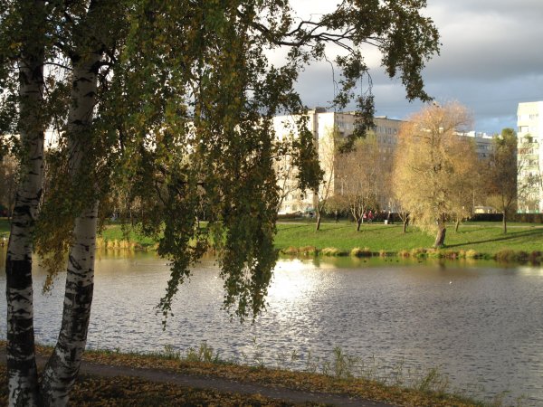 Муринский парк в Санкт-Петербурге