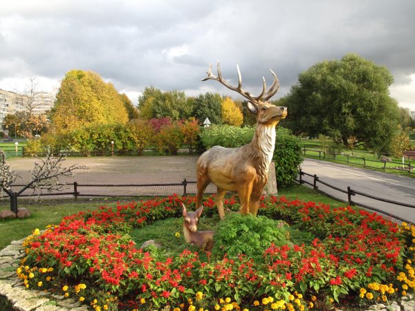 Муринский парк в Санкт-Петербурге