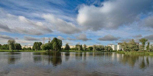 Муринский парк в Санкт-Петербурге