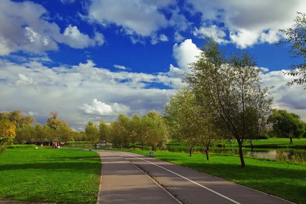 Муринский парк в Санкт-Петербурге