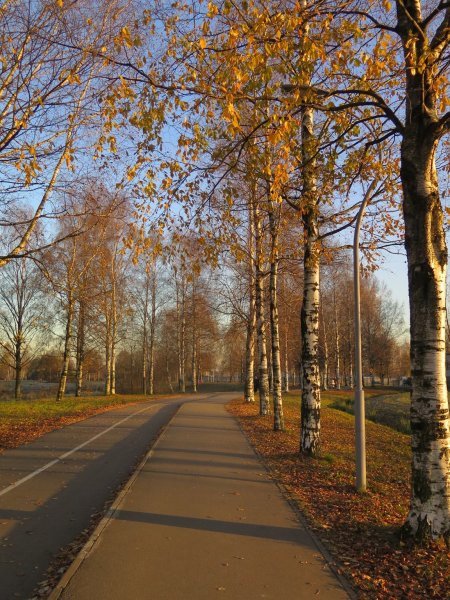 Муринский парк в Санкт-Петербурге