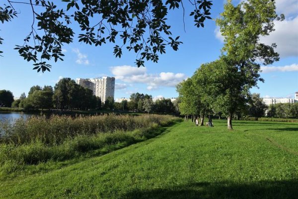 Муринский парк администрация