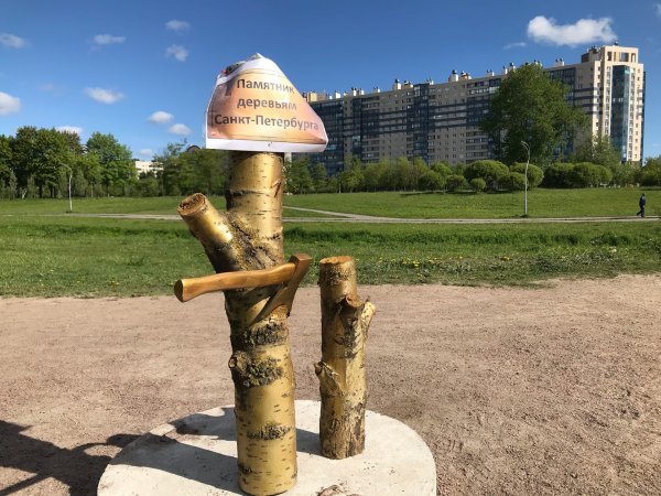 Муринский парк СПБ