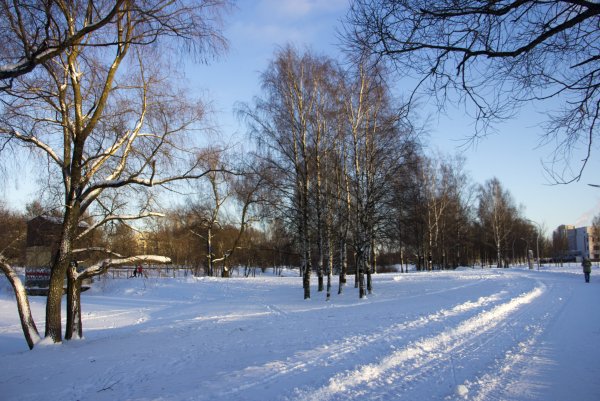 РЖЕВСКИЙ лесопарк Санкт-Петербург