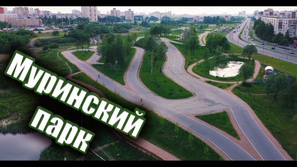 Лыжероллерная трасса в Муринском парке