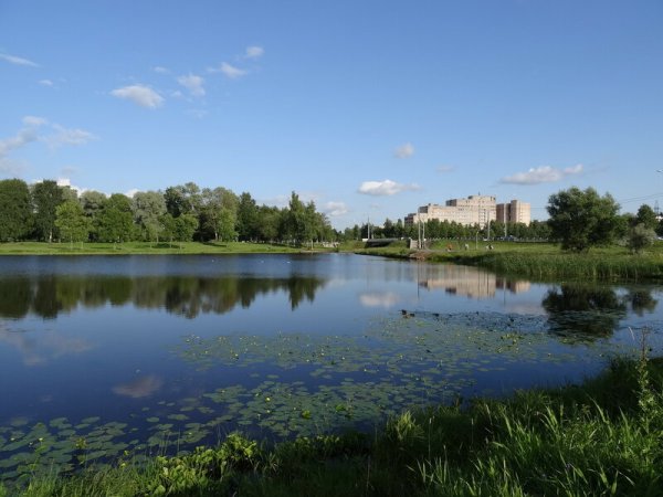 Муринский парк в Санкт-Петербурге