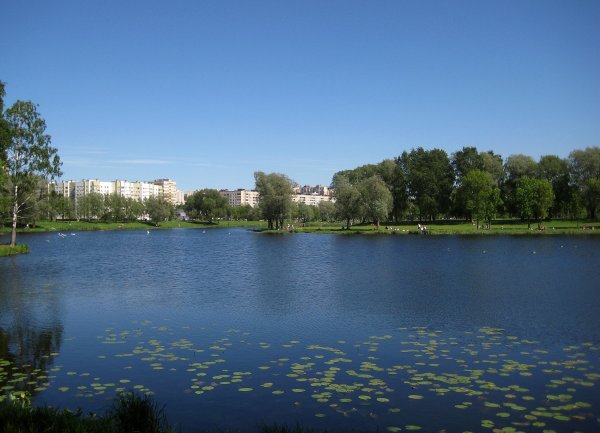 Муринский ручей Санкт-Петербург