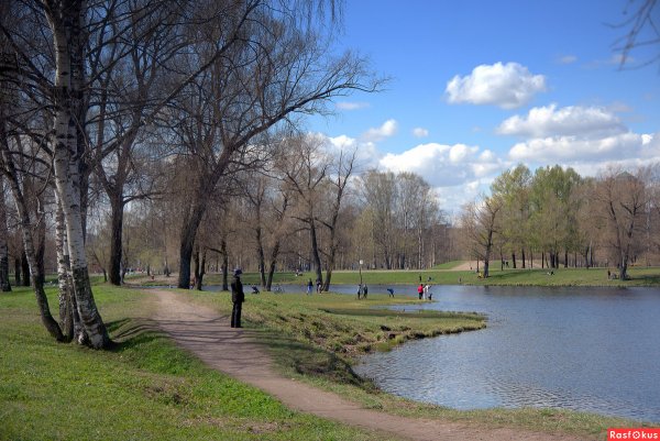 Парк ручейй Марьинский ручей