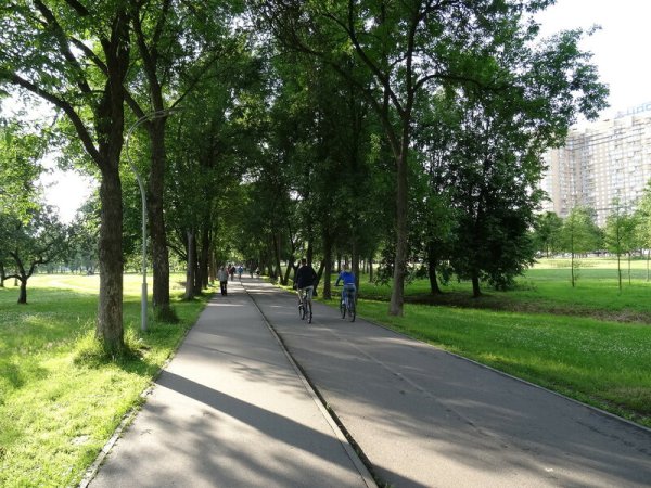 Муринский парк 2