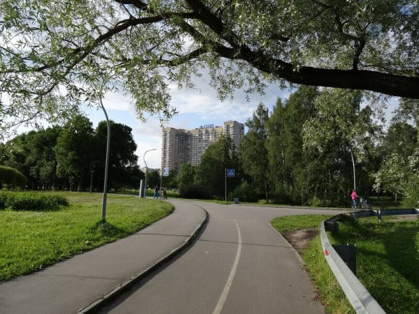 Муринский парк в Санкт-Петербурге