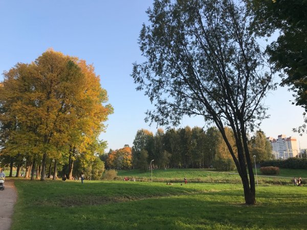 Муринский парк в Санкт-Петербурге