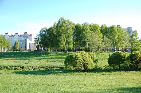 Муринский парк в Санкт-Петербурге