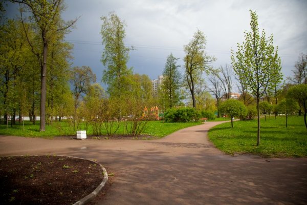 Муринский парк