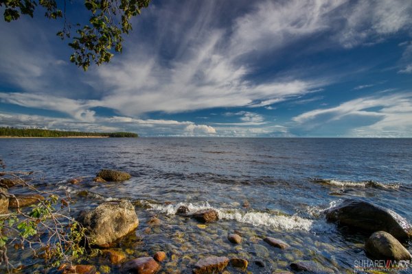 Южный берег Онежского озера