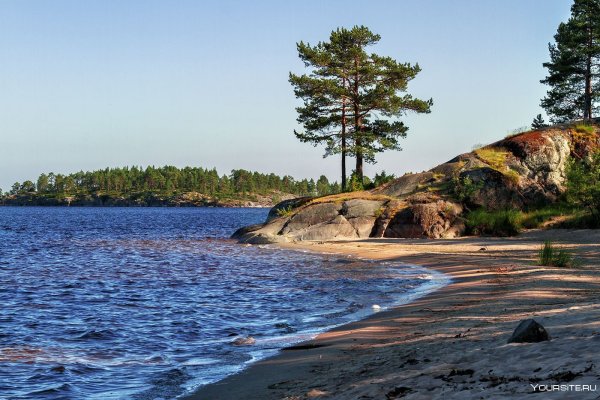 Видлица Ладожское озеро