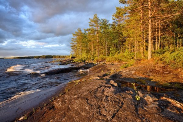 Берег Онежского озера, Карелия