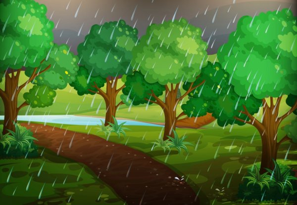 Дождь в лесу для детей