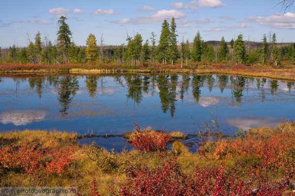 Болота Якутии