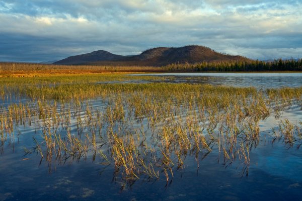 Озеро Лабынкыр, Оймякон