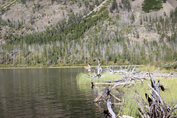 Алямс Лабынкыр