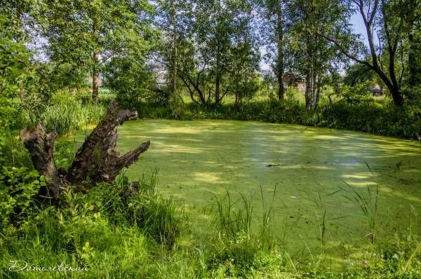 Заброшенное озеро