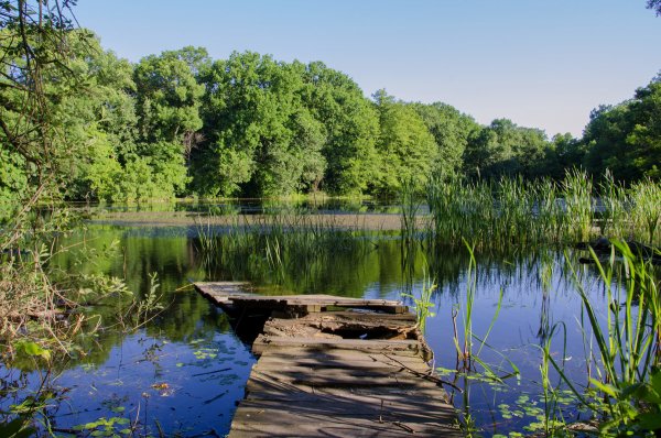 Пруд земснаряд Куровское