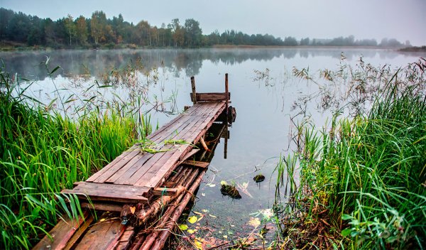 Озеро Серменок на Селигере