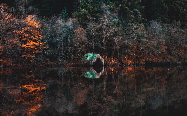 Мистический лес с озером