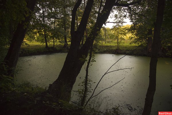 Заброшенный пруд