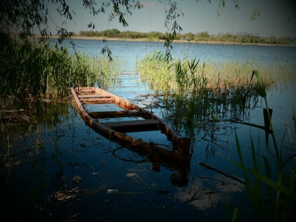 Заброшенная река